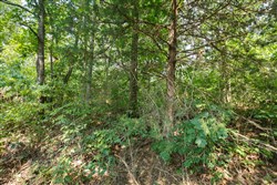 property photo for Springlake Plat 2 Tract 9, 0.21 acres for sale in Miller County, Missouri