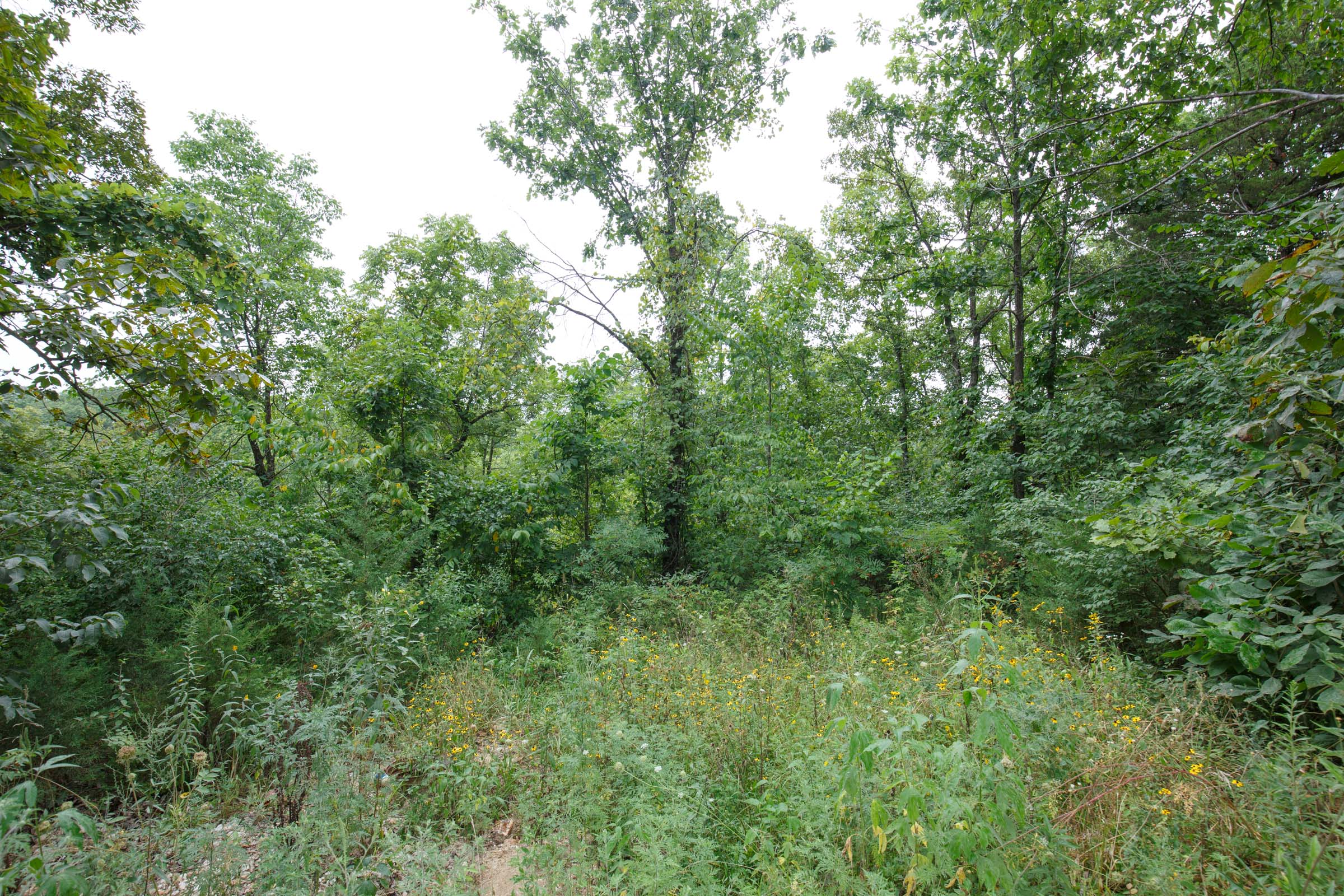Tract 170 at Springlake in Miller County, Missouri