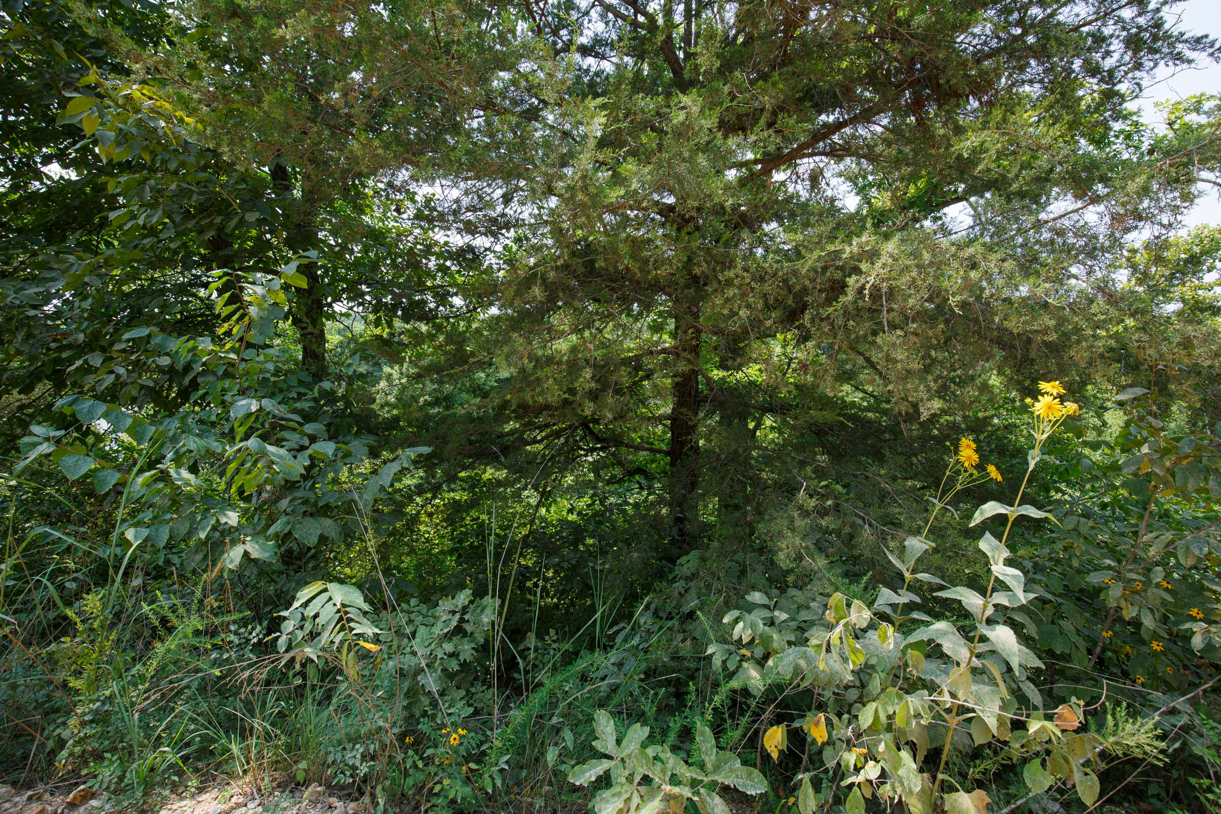 Tract 120 at Springlake in Miller County, Missouri