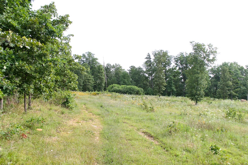 Tract 1 at Green Mountain Ranch in Shannon County, Missouri