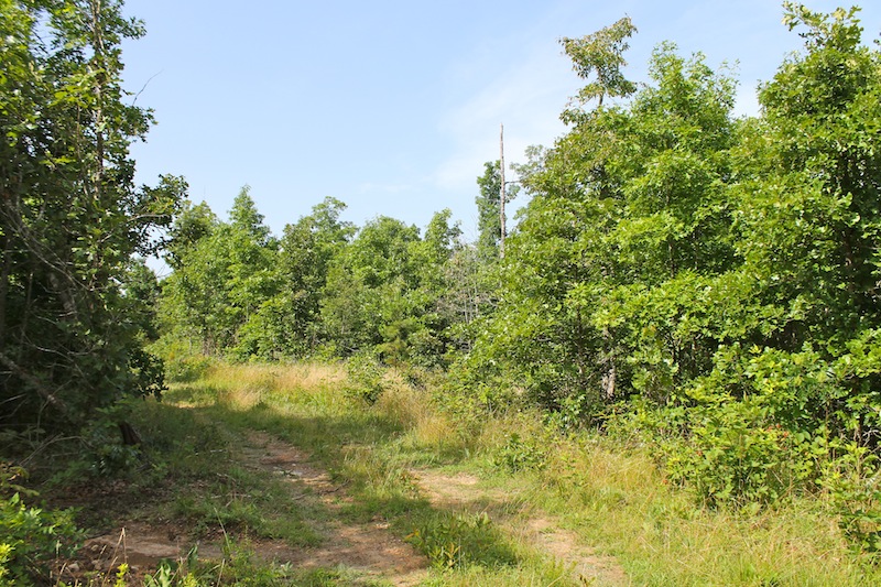 Tract 15 at Green Mountain Ranch in Shannon County, Missouri