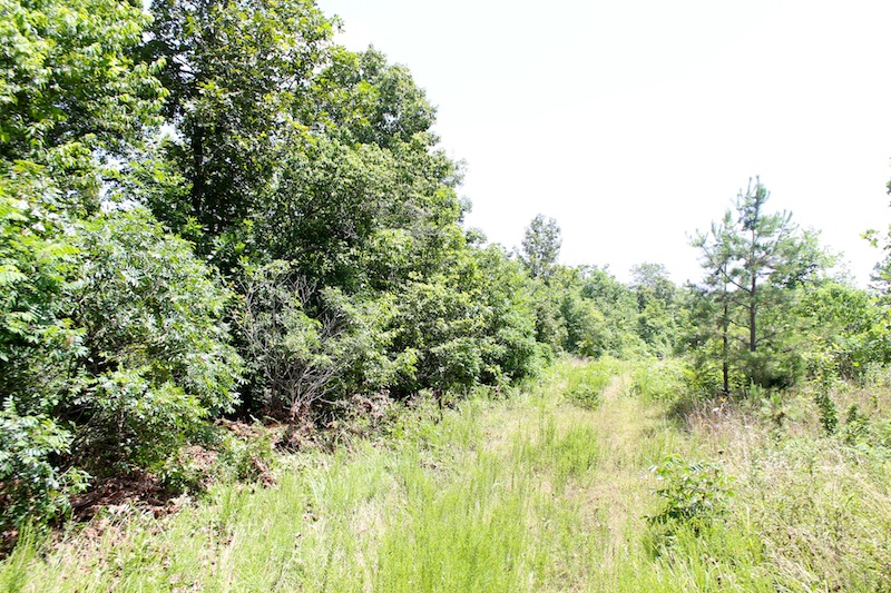 Tract 19 at Green Mountain Ranch in Shannon County, Missouri