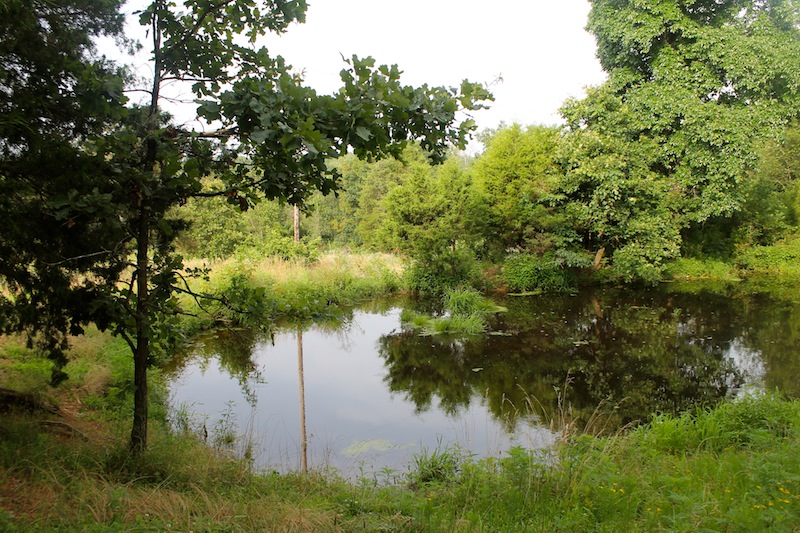 Tract 2 at Green Mountain Ranch in Shannon County, Missouri