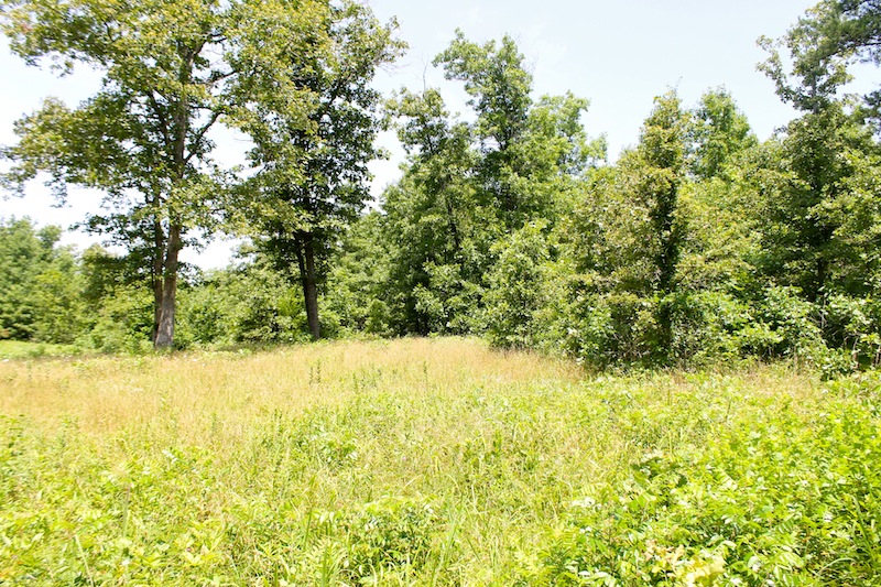 Tract 24 at Green Mountain Ranch in Shannon County, Missouri