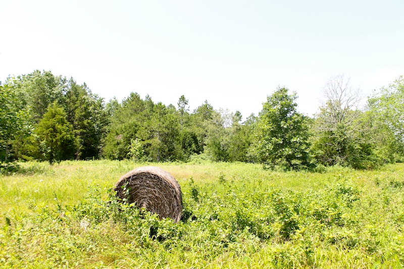 Tract 26 at Green Mountain Ranch in Shannon County, Missouri