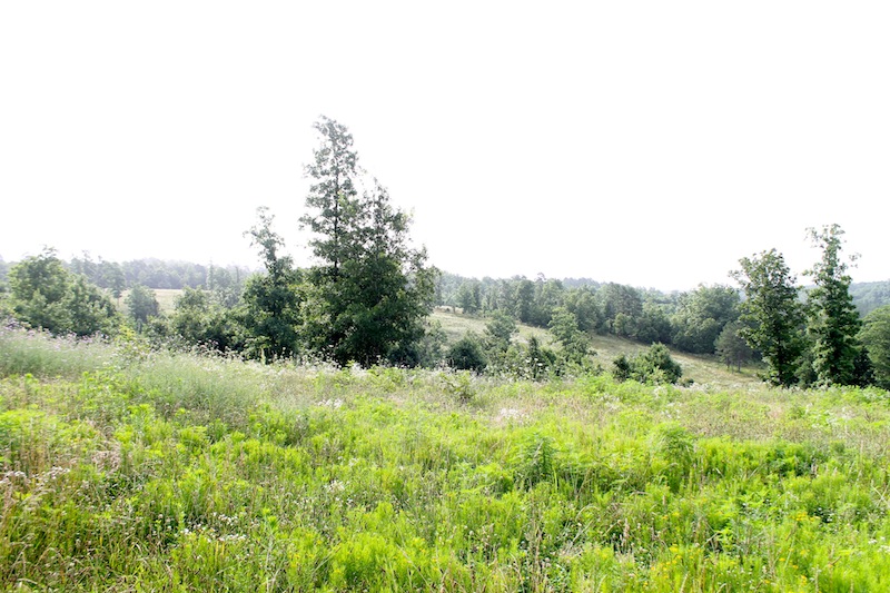 Tract 3 at Green Mountain Ranch in Shannon County, Missouri