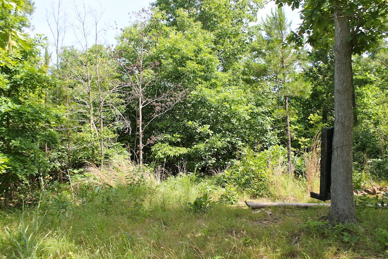 Tract 30 at Green Mountain Ranch in Shannon County, Missouri