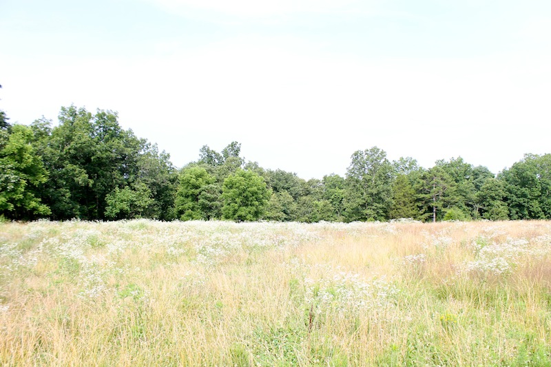 Tract 31 at Green Mountain Ranch in Shannon County, Missouri
