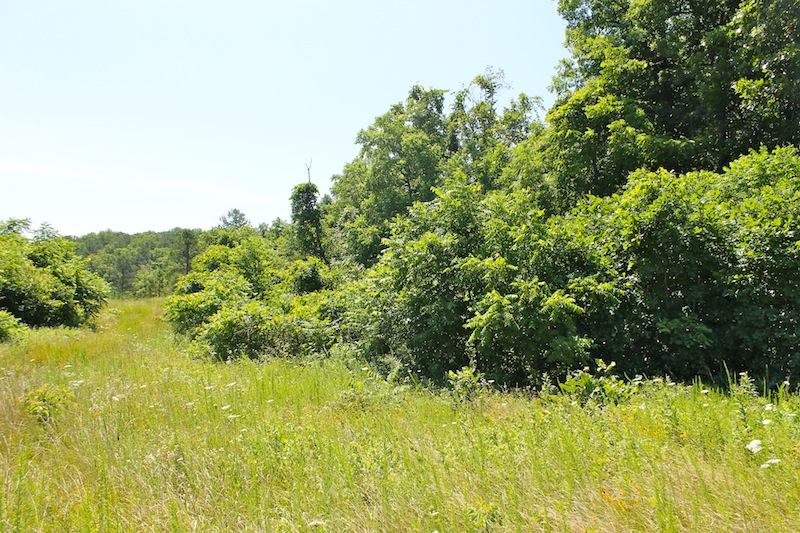 Tract 32 at Green Mountain Ranch in Shannon County, Missouri