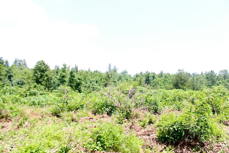 Tract 37 at Green Mountain Ranch in Shannon County, Missouri