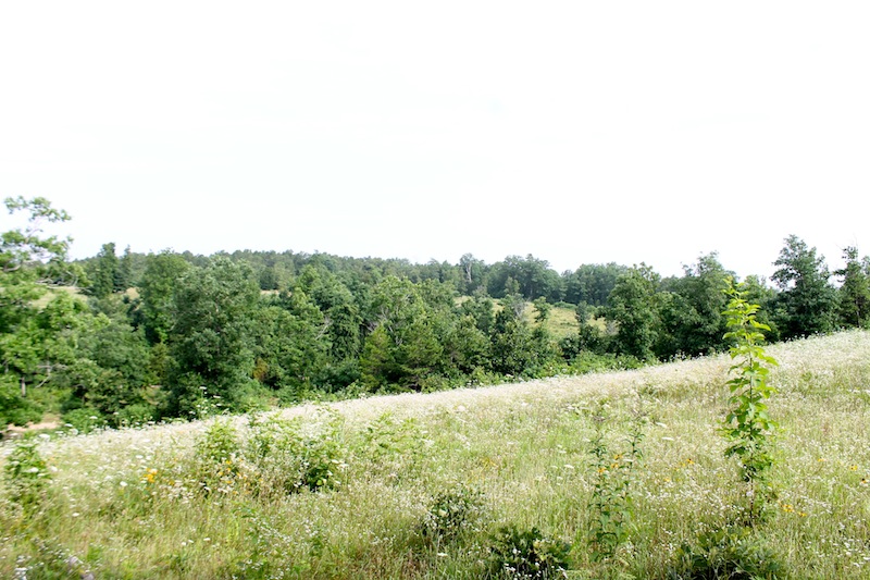 Tract 4 at Green Mountain Ranch in Shannon County, Missouri