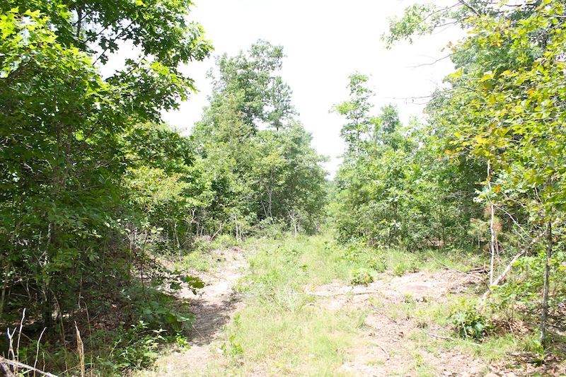 Tract 42 at Green Mountain Ranch in Shannon County, Missouri