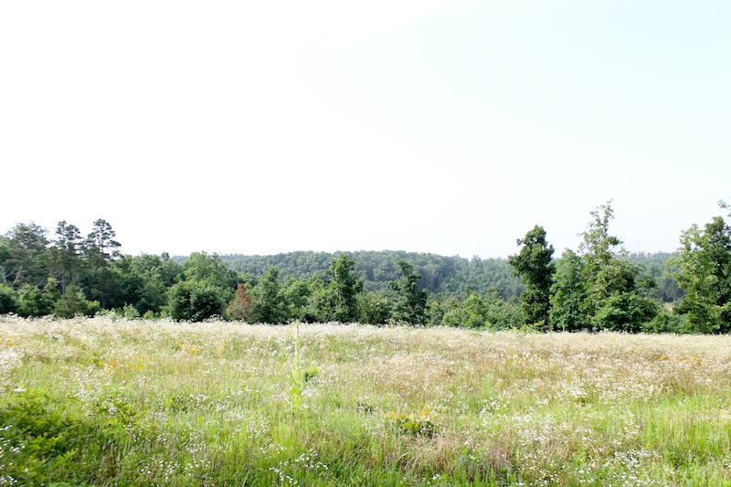 Tract 5 at Green Mountain Ranch in Shannon County, Missouri