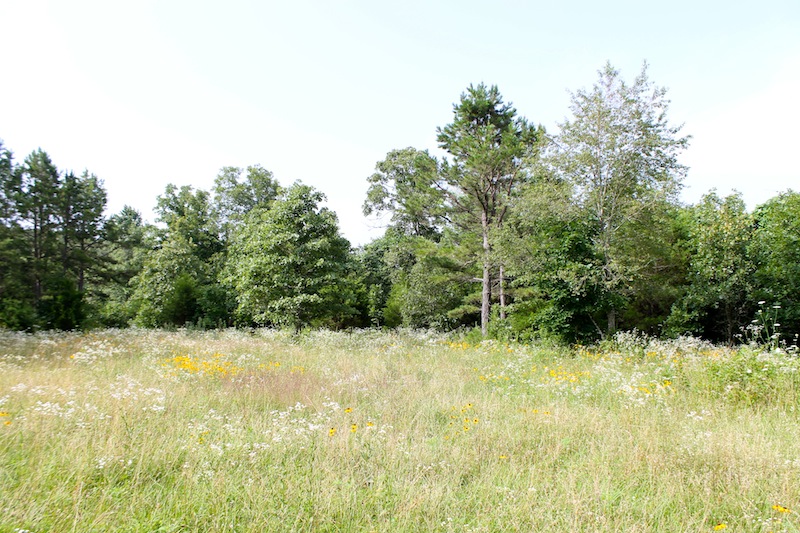 Tract 7 at Green Mountain Ranch in Shannon County, Missouri